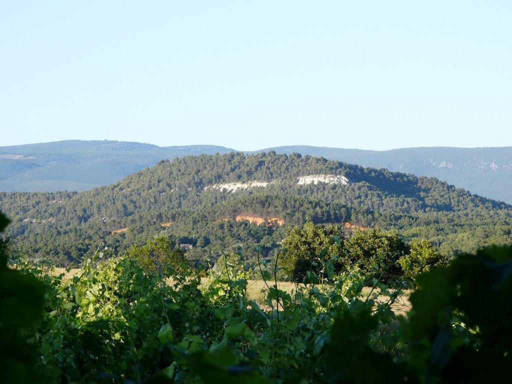 Lou Amourie Roussillon en Isere Dış mekan fotoğraf