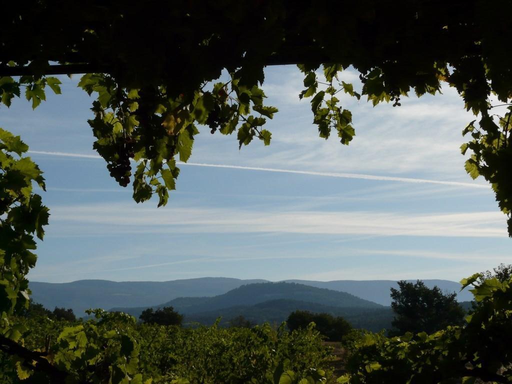 Lou Amourie Roussillon en Isere Dış mekan fotoğraf